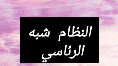 النظام شبه الرئاسي